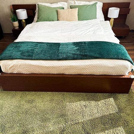 Spacious City Centre Apartment 布拉迪斯拉发 外观 照片