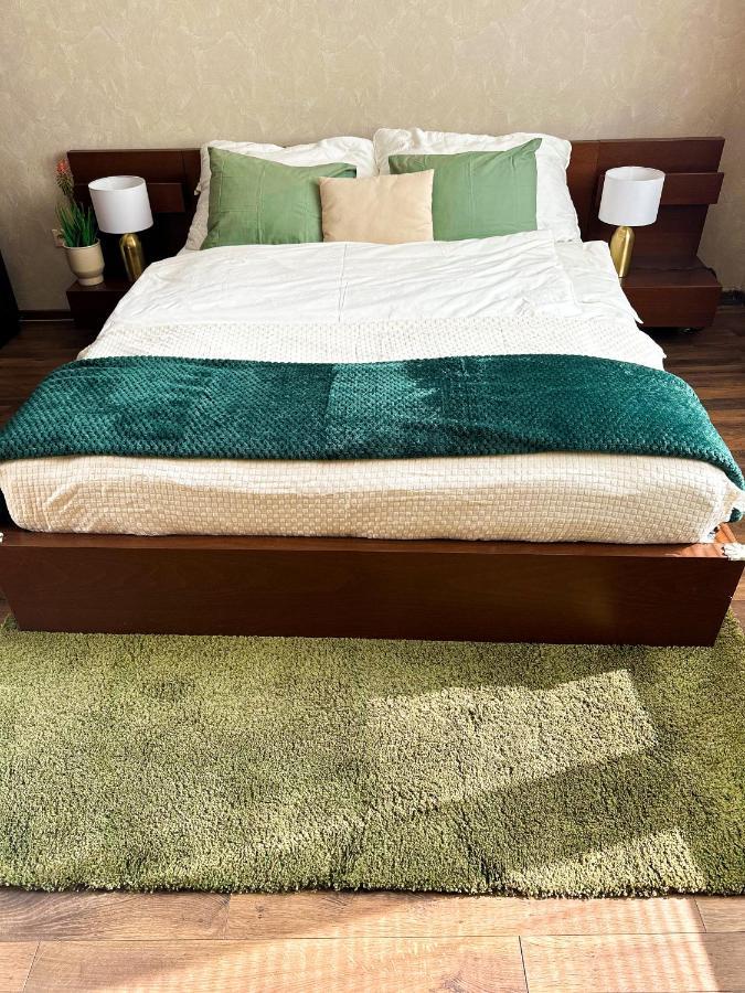 Spacious City Centre Apartment 布拉迪斯拉发 外观 照片